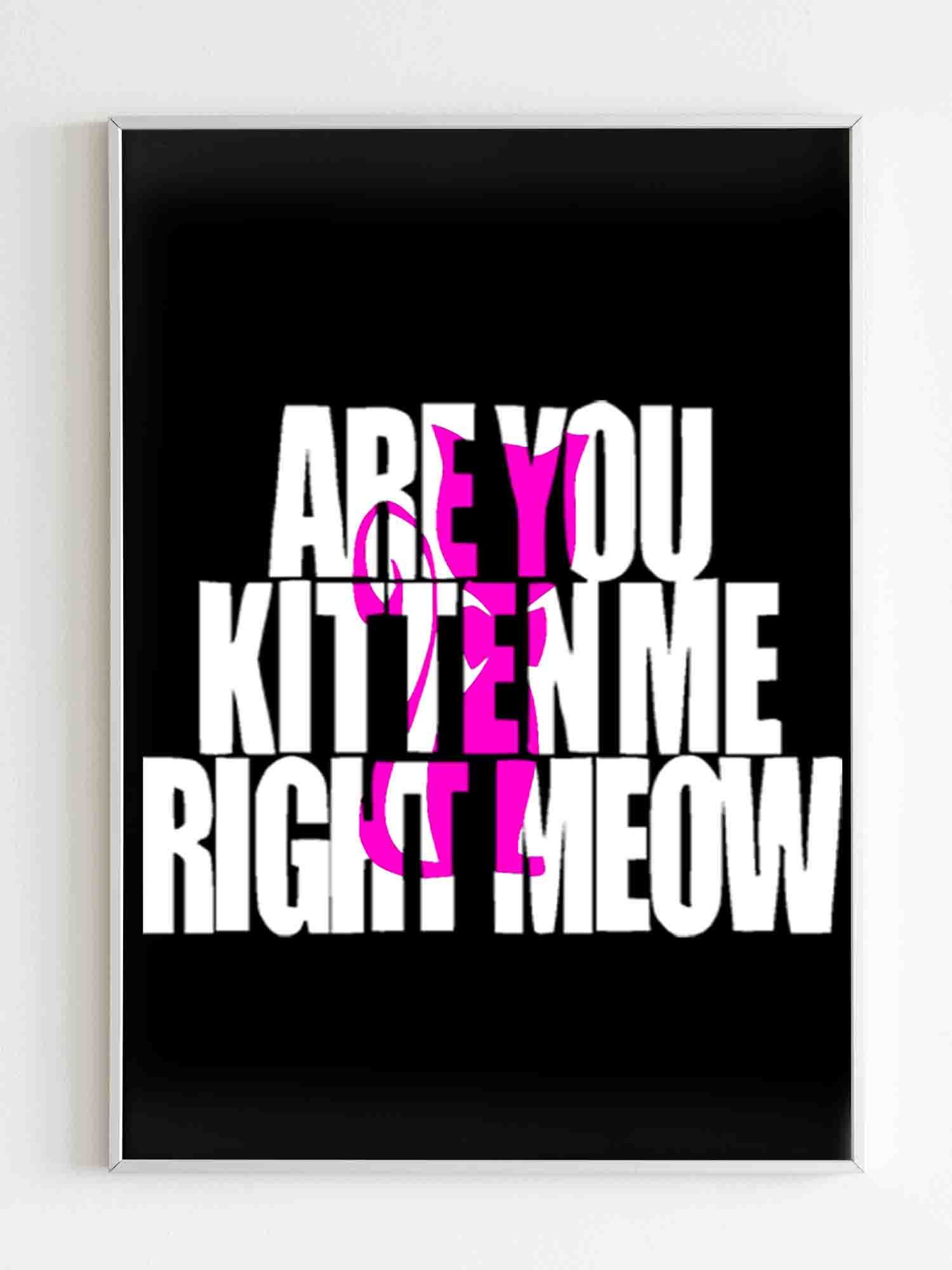 Are You Kitten Me Right Meow One Poster