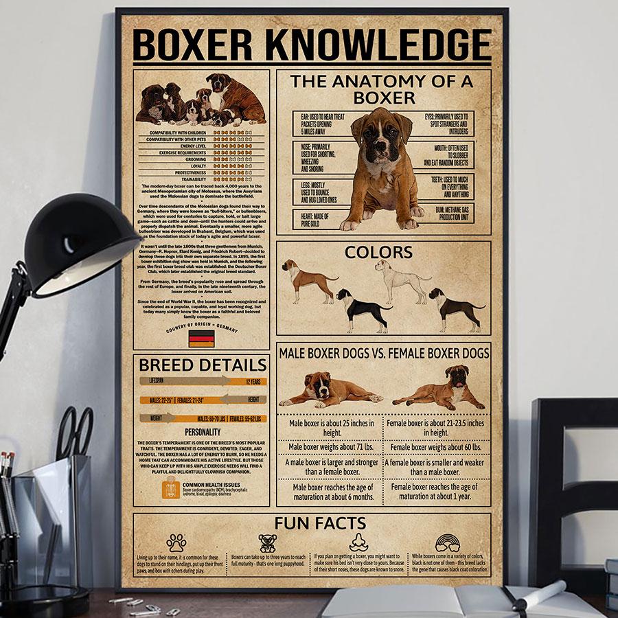 Boxer Knowledge – Poster