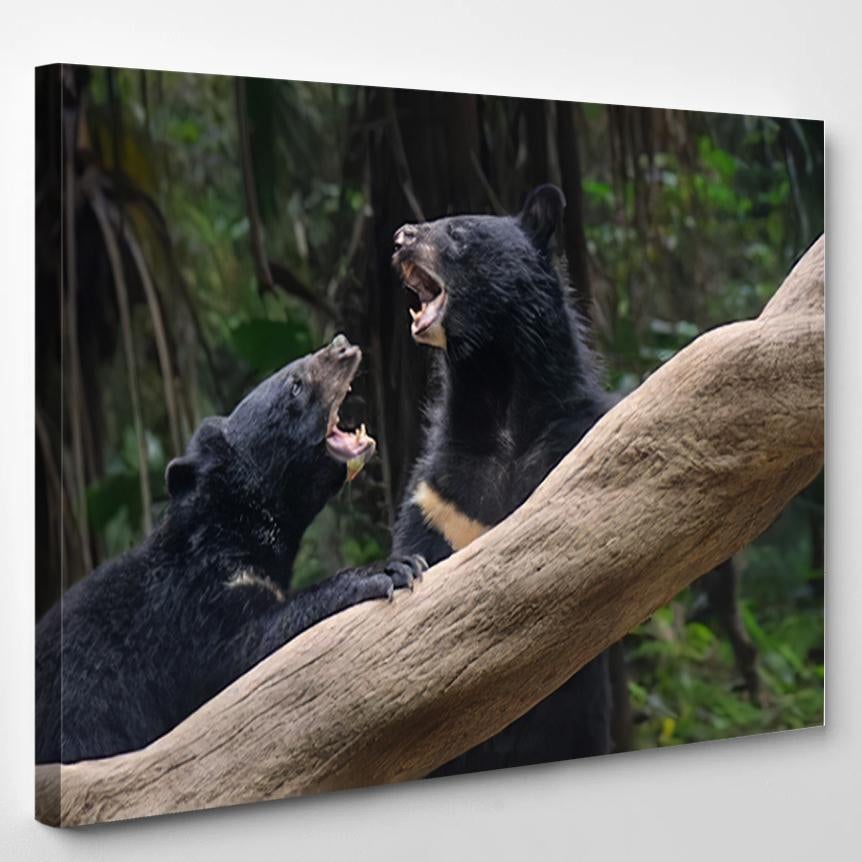 Two Black Bears Fighting Forest – Bear Animals Canvas Print