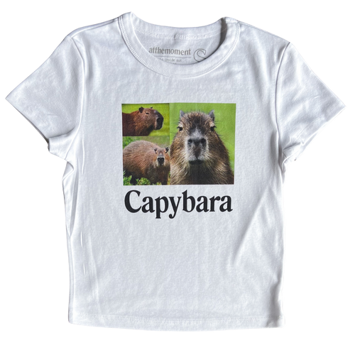 Capybara Women   s Baby Rib Ladies Tee Shirt Outfit  For Men  For Women