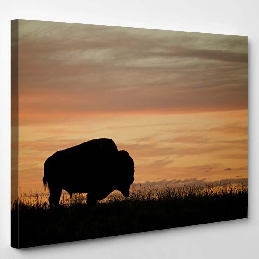 Silhouette Bison Buffalo Against Colorful Sunset – Bison Animals Canvas Print