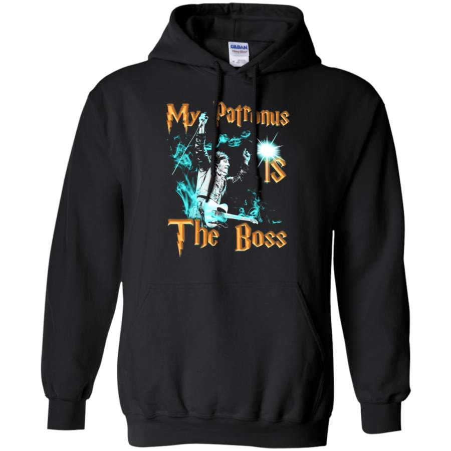 AGR My Patronus Is The Boss Bruce Springsteen Hoodie