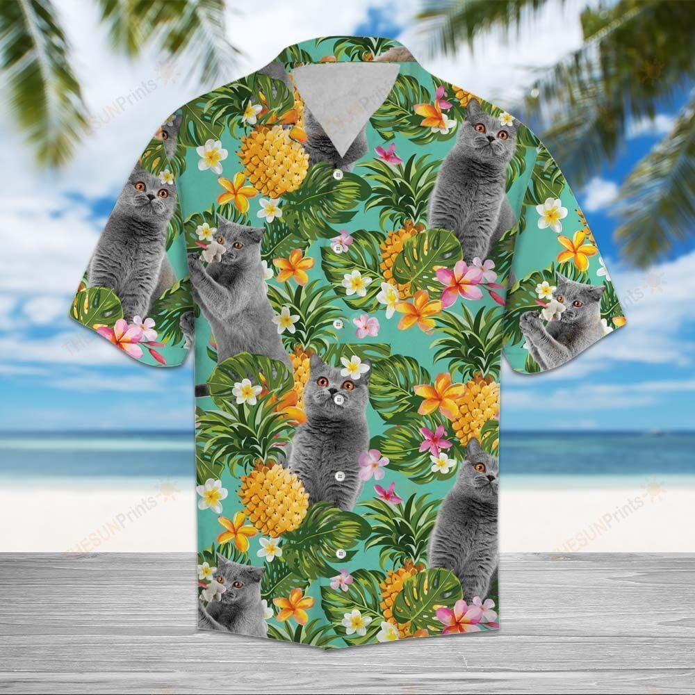 Tropical Pineapple British Shorthair Hawaiian Shirt Ha3051