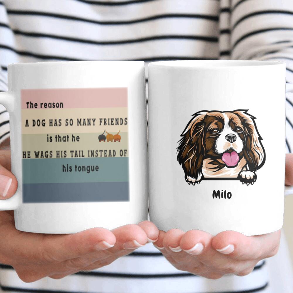 Personalized The Reason Dogs Have Many Friends Gift Dog Lovers – Coffee Mug