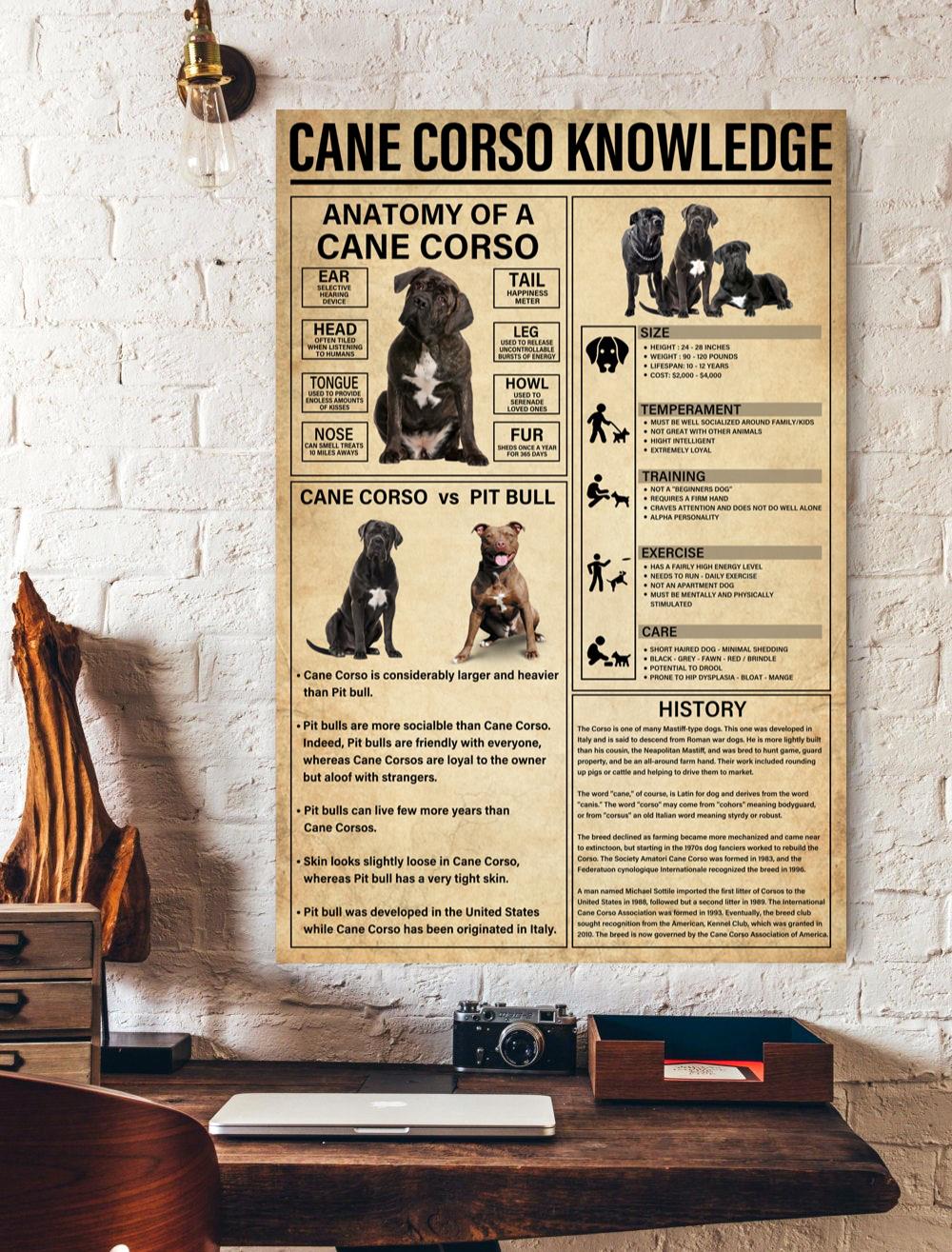 Cane Corso Knowledge Vertical Print Poster