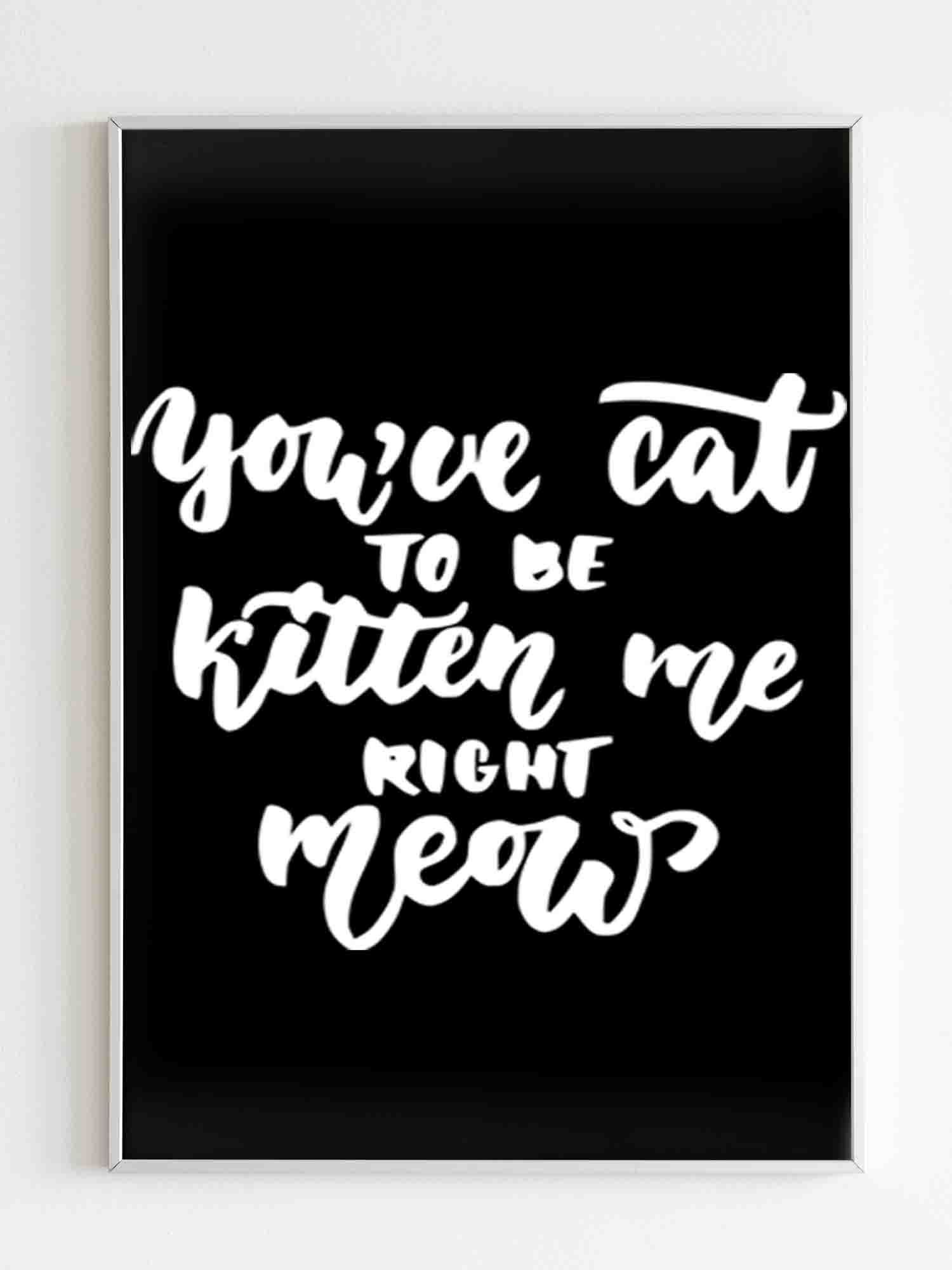 Are You Kitten Me Right Meow Cool Cute Poster