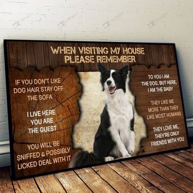 Border collie please remember when visiting our house Poster Canvas 5632203014