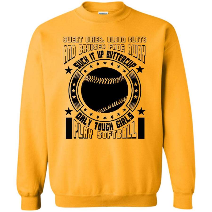 Coolest Softball Lady T Shirt, Sweat Dries Blood Clots And Bruises Fade Away Sweatshirt