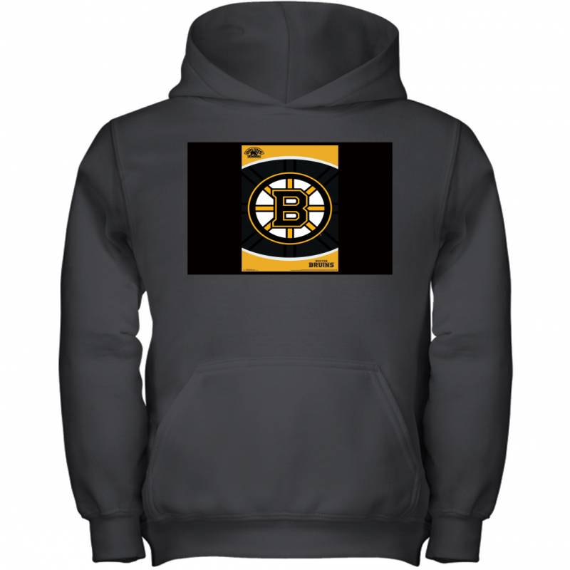 International Boston Bruins Logo Premium Wall Youth Hoodie