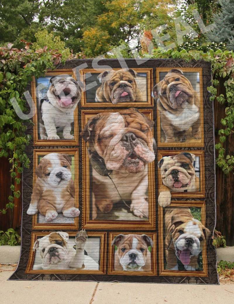 Bulldog Cute Puppy Bulldog Dogs Quilt Blanket