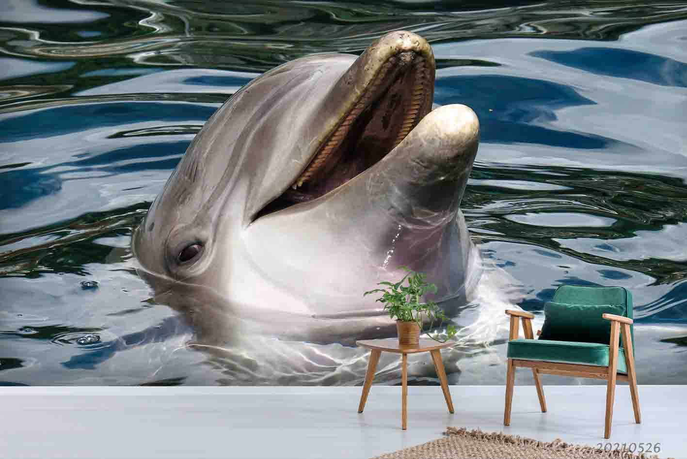 3D Sea Dolphin Ripples Wall  Mural Wallpaper Sww387