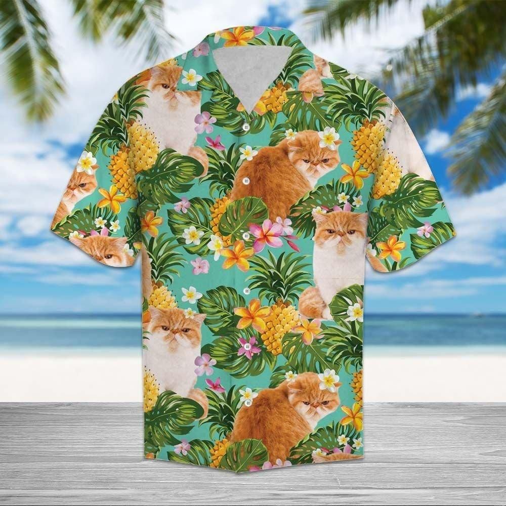 Tropical Pineapple Exotic Shorthair Aloha Hawaiian Shirt Colorful Short Sleeve Summer Beach Casual Shirt For Men And Women