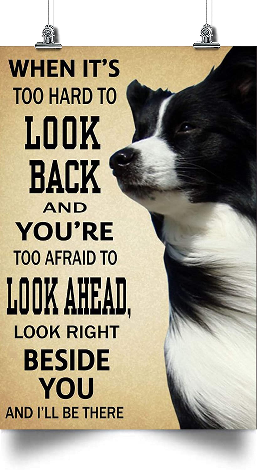 Border Collie Poster – Look Back And Look Ahead – Home Decoration Poster, Wall Poster, Home And Room Decoration, Gifts For Friends And Relatives, Souvenirs.