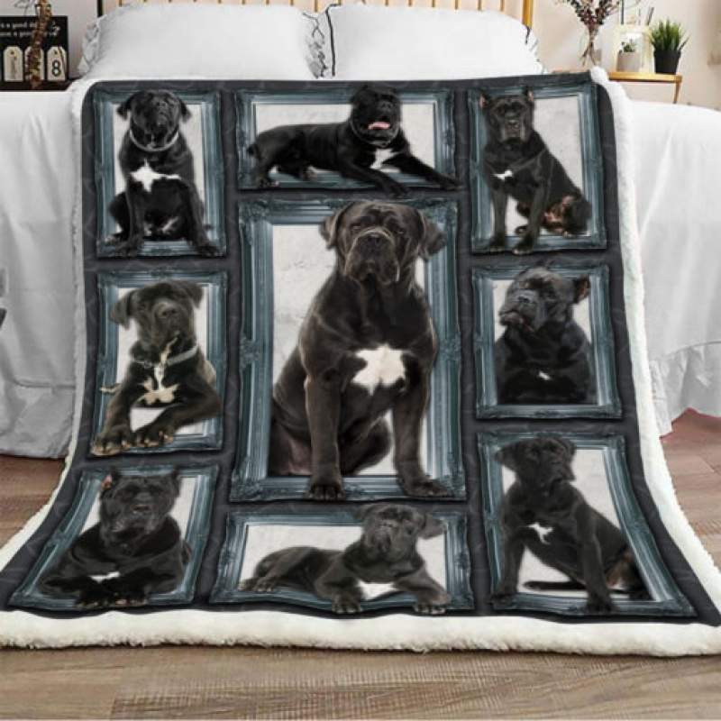 Cane Corso Dog Sherpa Blanket JR2201 95O35