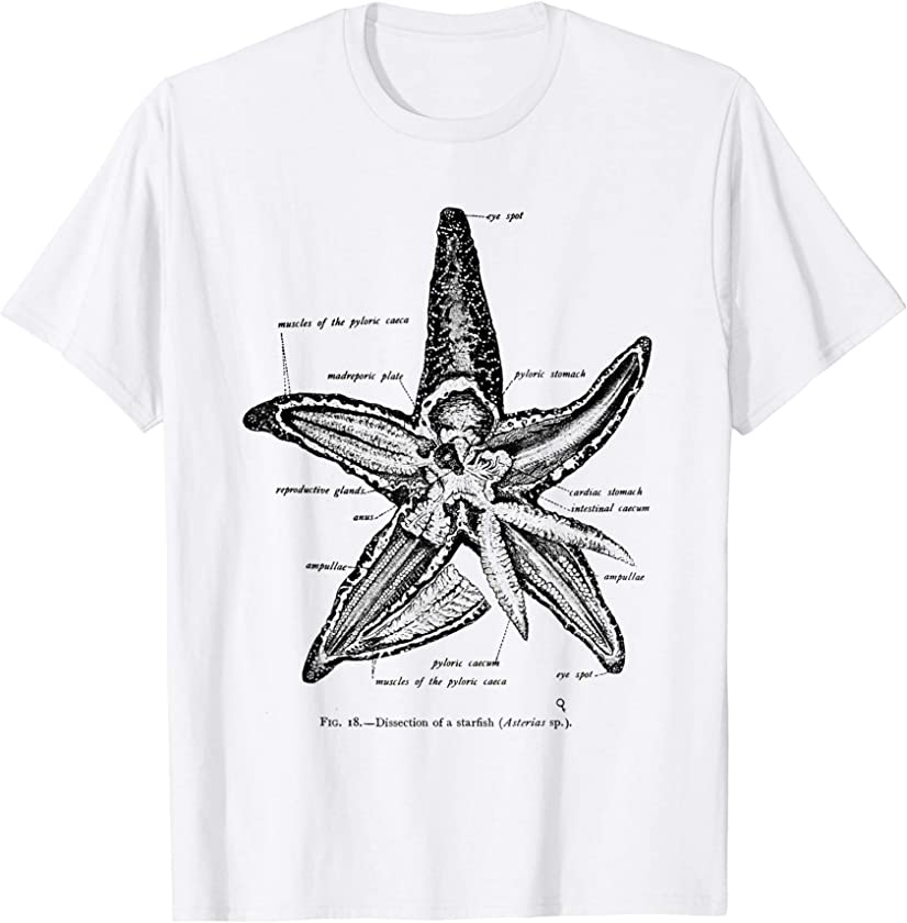 Vintage Marine Biology Starfish Sea Star Tee T-shirt