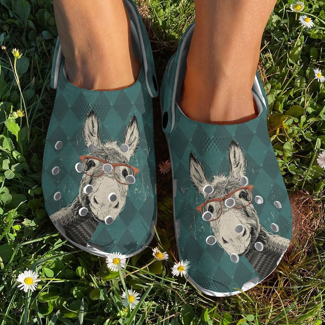 Donkey Personalized Clog, Custom Name, Text, Color, Number Fashion Style For Women, Men, Kid, Print 3D Donkey Lovers