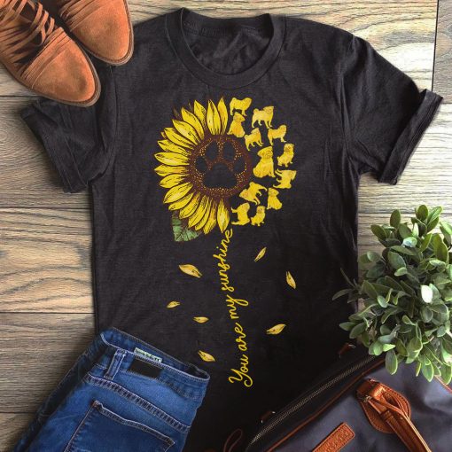 Pug You Are My Sunshine Gift Dog Lovers T-Shirt