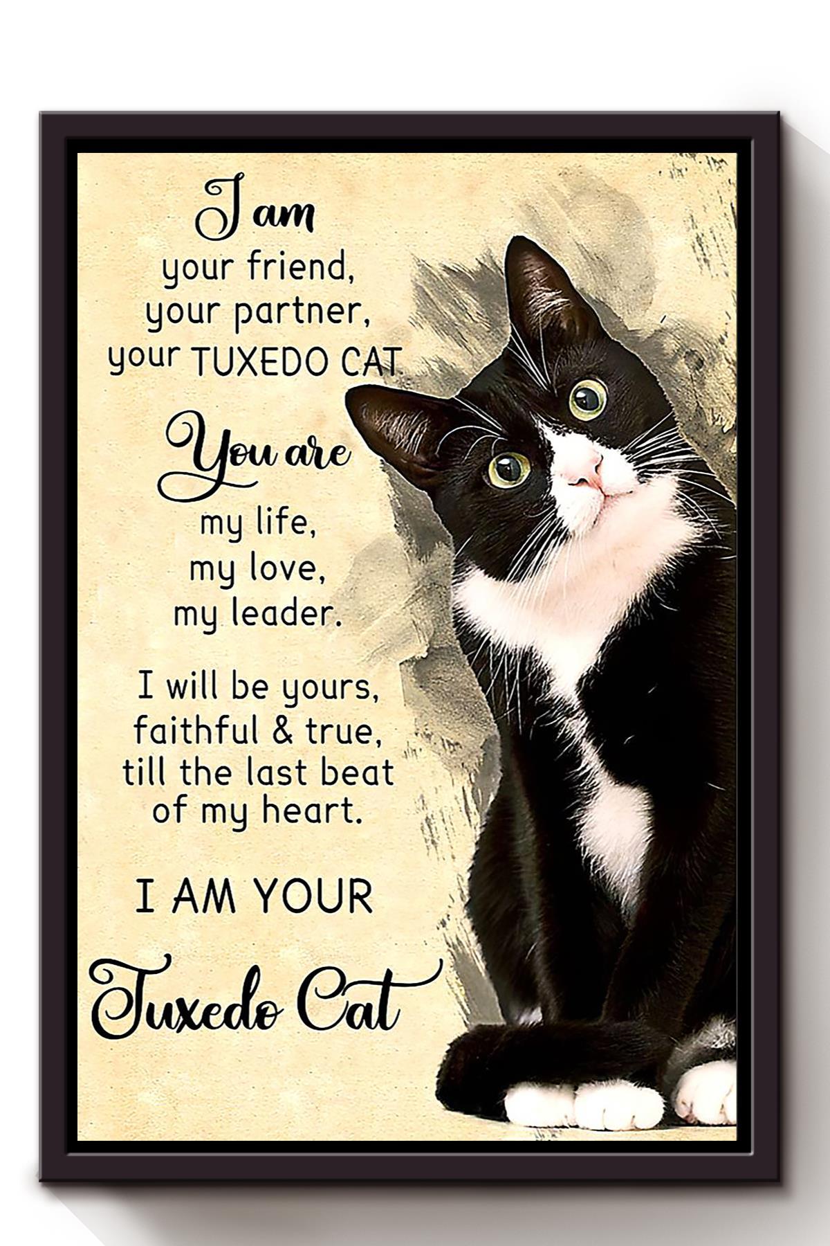 Tuxedo Cat I Am Your Animal Wall Art Gift For Cat Lover International Cat Day Kitten Foster Framed Canvas