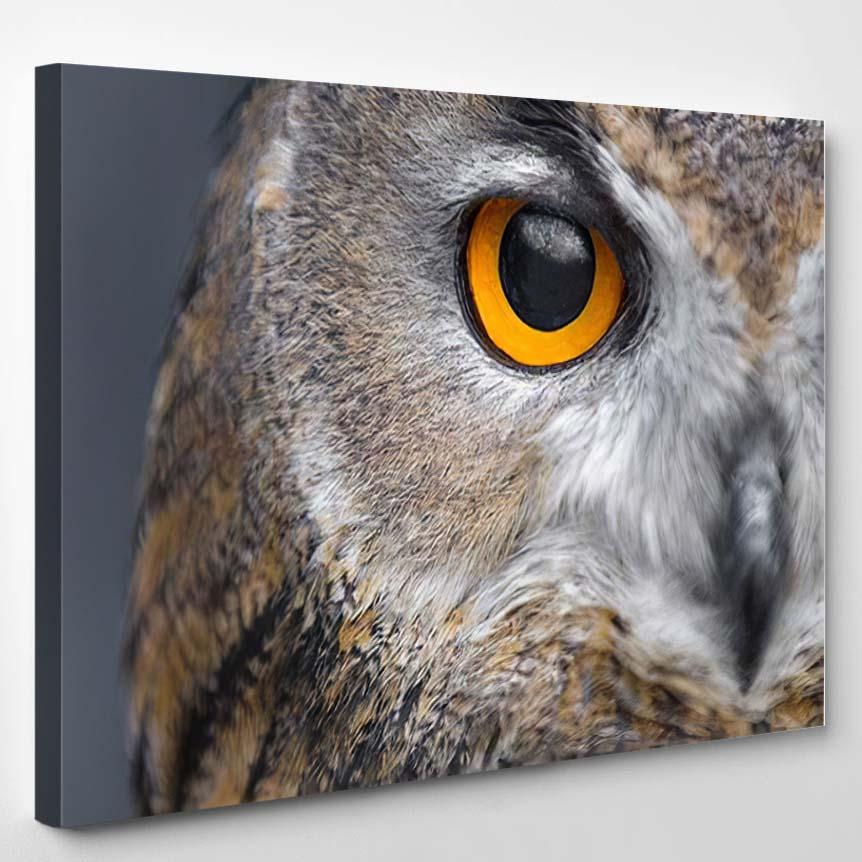 Portrait Eagle Owl Piercing Yellow Eyes – Eagle Animals Canvas Print