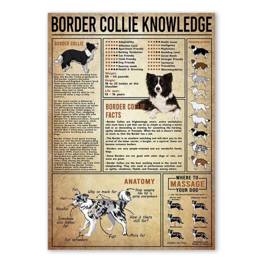 Border Collie Knowledge Special Unique Custom Design Canvas Gift  For Dog Lovers