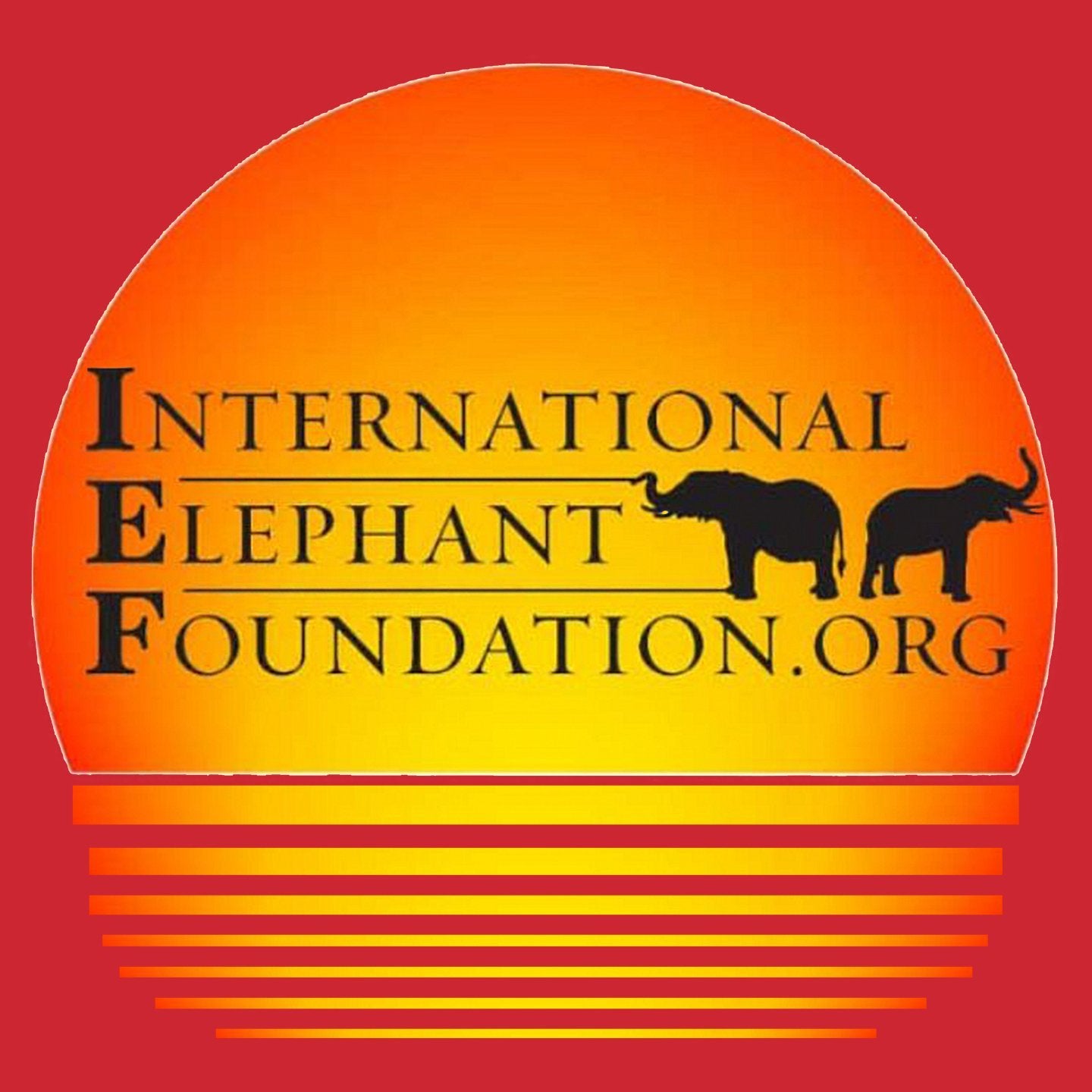 International Elephant Foundation Sunset Logo – Adult Unisex Long Sleeve T-Shirt