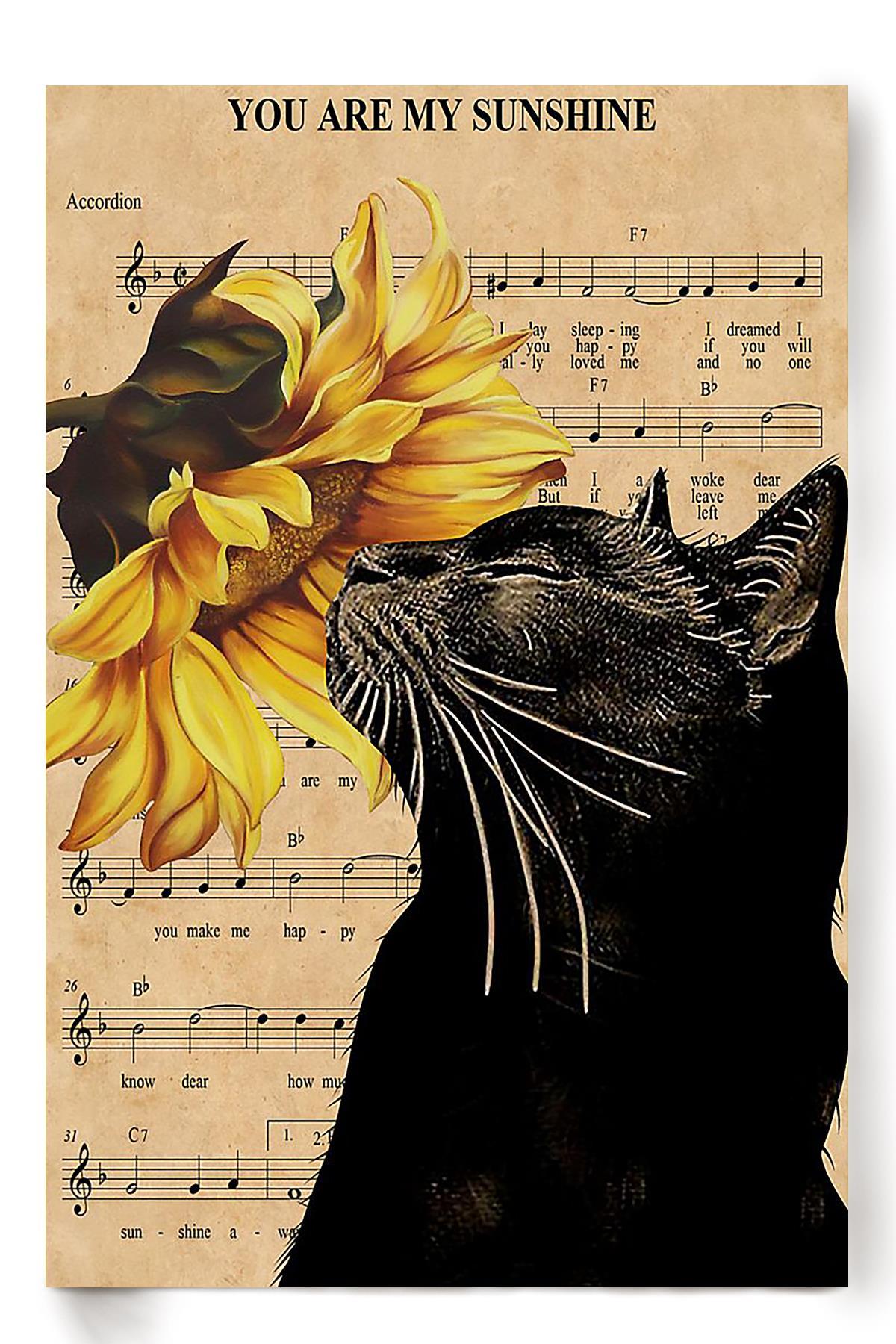 Cat You Are My Sunshine Animal Wall Art Gift For Cat Lover International Cat Day Kitten Foster Poster