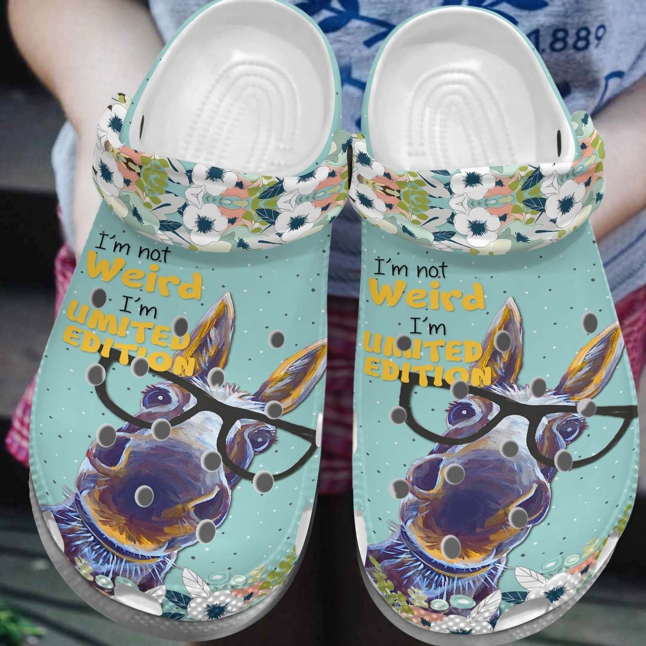 Donkey Personalized Clog, Custom Name, Text, Color, Number Fashion Style For Women, Men, Kid, Print 3D Limited Edition