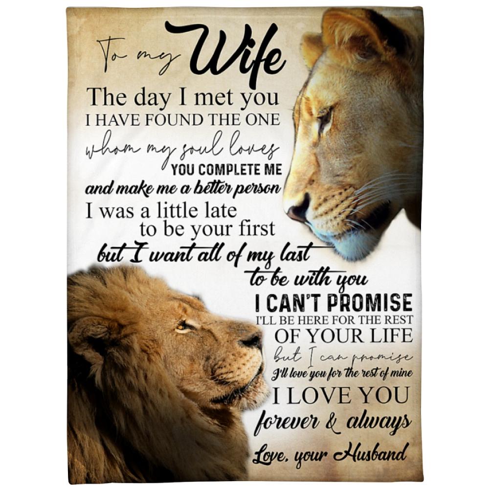 To My Wife The Day I Met You Lion Fleece Blanket Family Gift Home Decor Bedding Couch Sofa Soft And Comfy Cozy