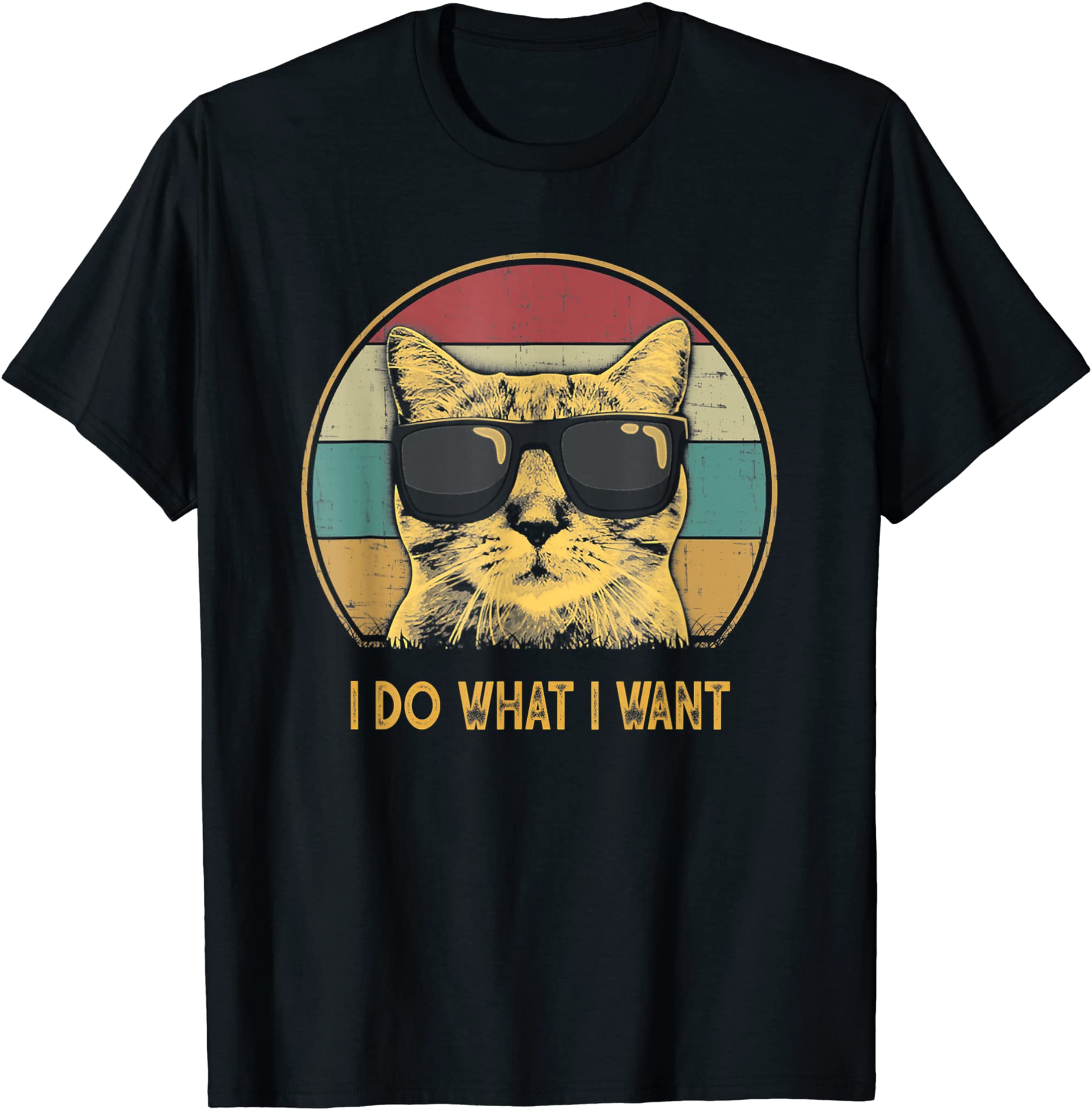 Retro I Do What I Want Cat Funny Cat Lover T-Shirt