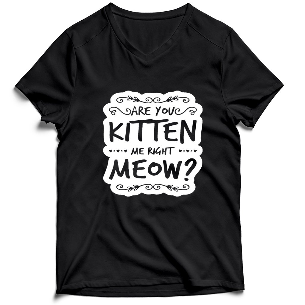 Are You Kitten Me Right Meowm Kitten Me Right Meow Men’s V-Neck Tee T-Shirt