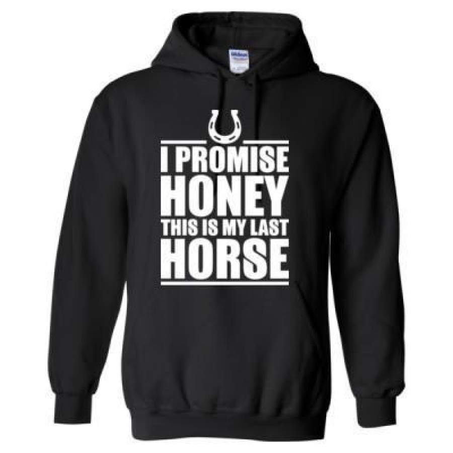 AGR I Promise Honey This Is My Last Horse – Heavy Blend™ Hooded Sweatshirt