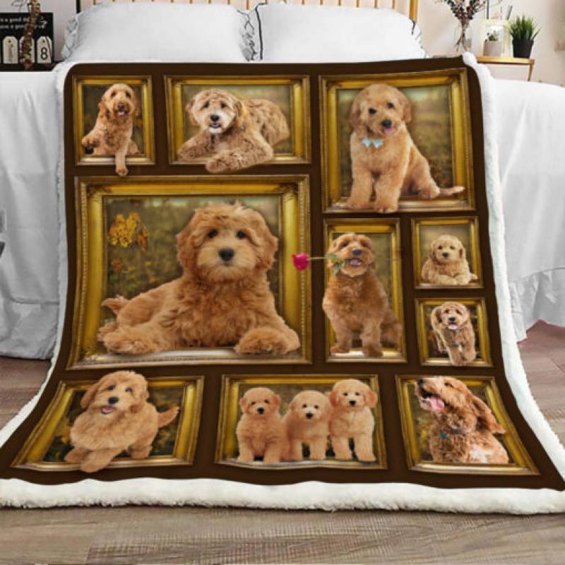 Goldendoodle Dog Sherpa Blanket DCB2701 95O41