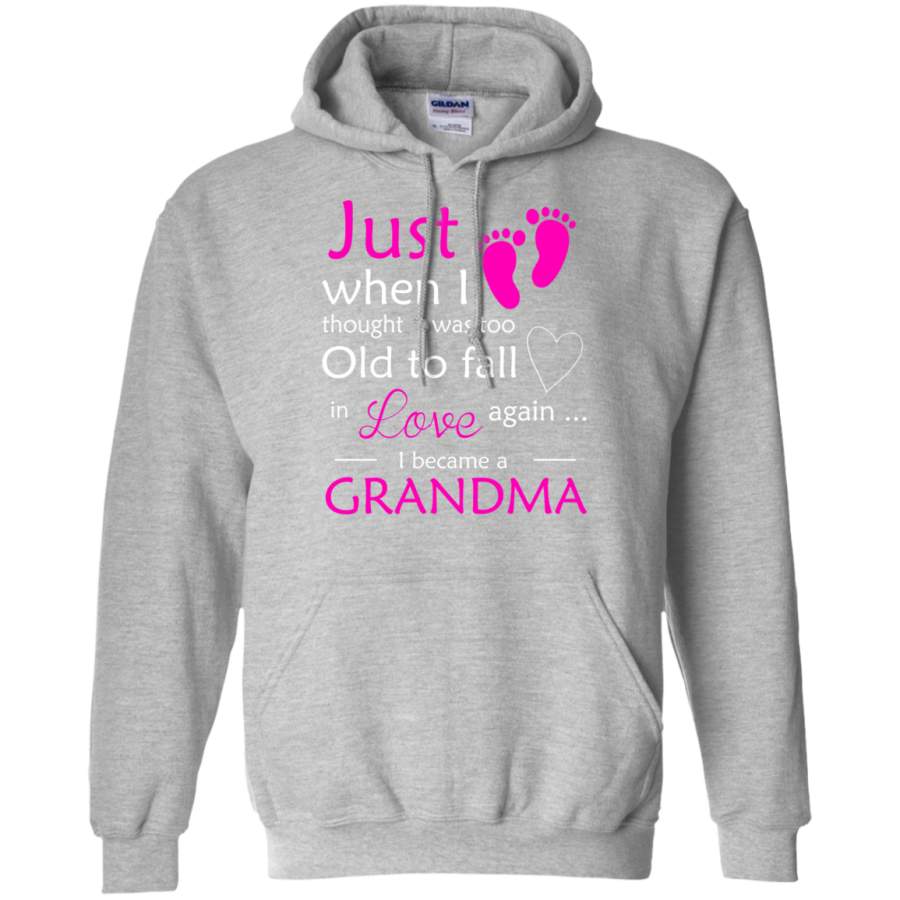 Just When i Thought I Was Too Old To Love Again, I Became a Grandma! Hoodie