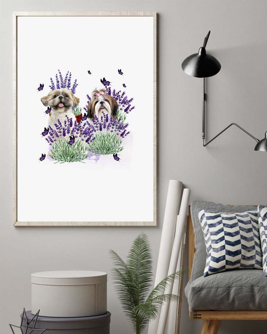 Shih-Tzu with lavender flower poster