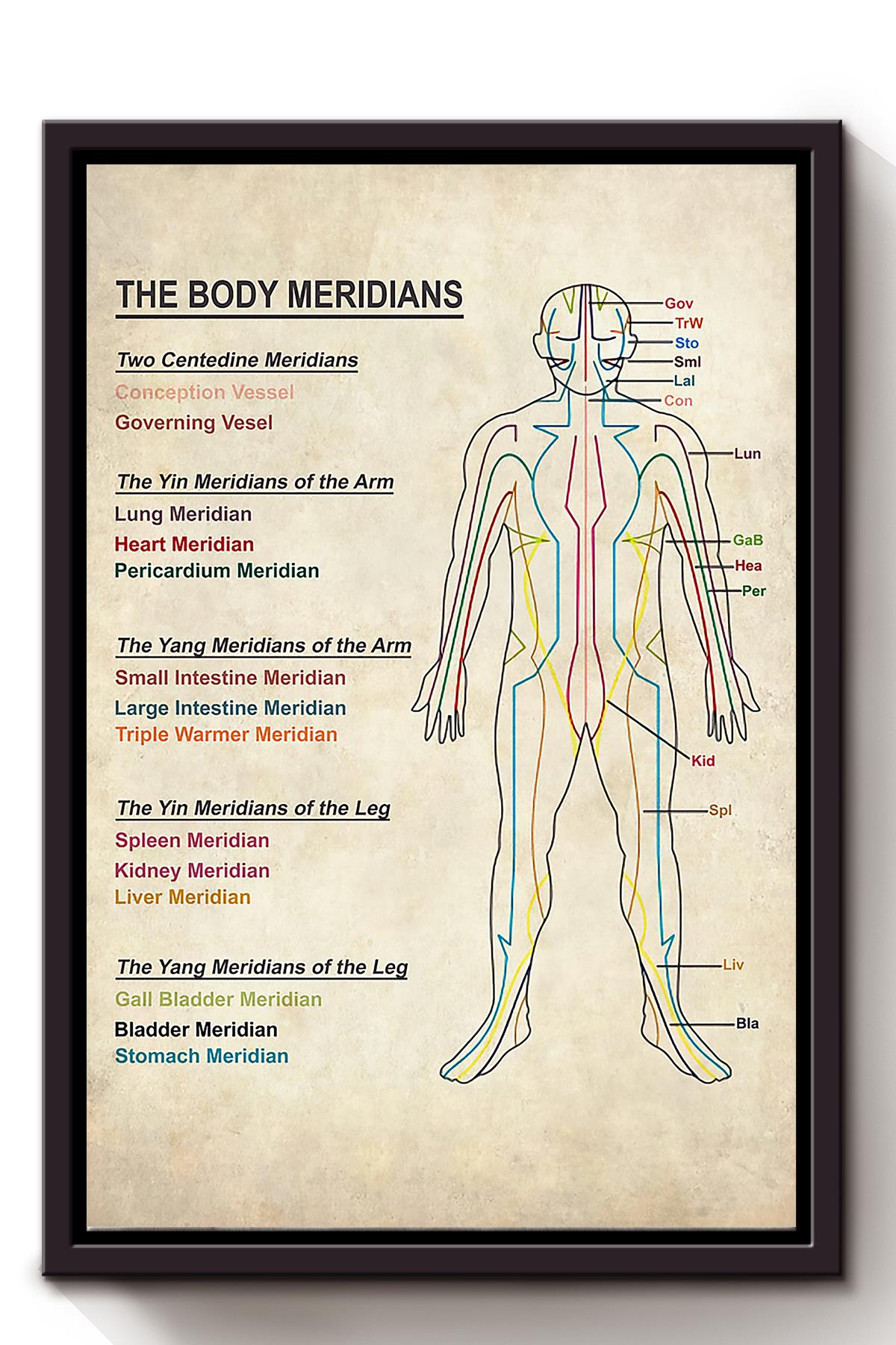 The Body Meridians Medical Knowledge Wall Art For Doctor Hospital Clinic Decor Framed Matte Canvas