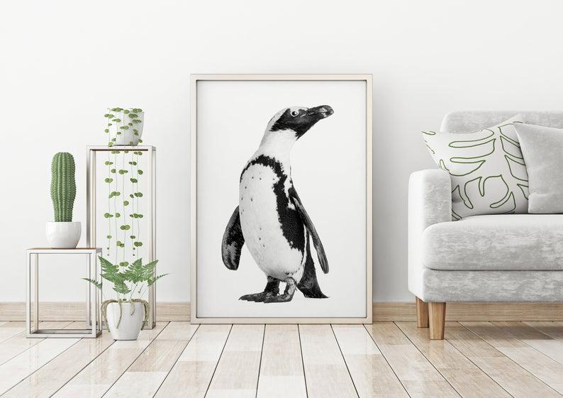 African Penguin Print – Penguin Picture – Animal Modern Wall Art – Poster Animal