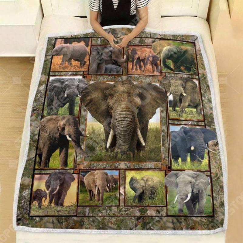 Love Elephant CL15110168MDF Sherpa Fleece Blanket