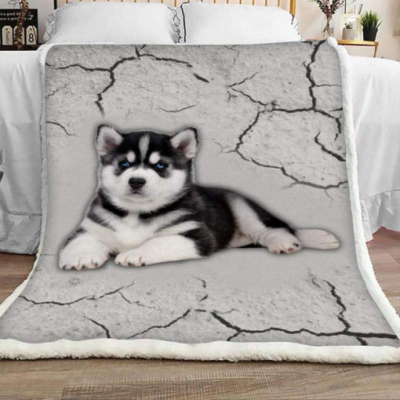 Husky Dog Sherpa Blanket JR1702 95O47