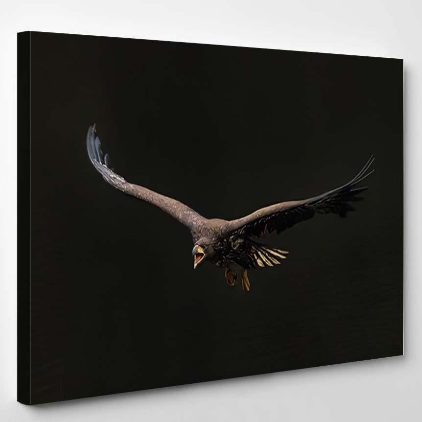 Amazing Flight Shot Single Sea Eagle – Eagle Animals Canvas Print