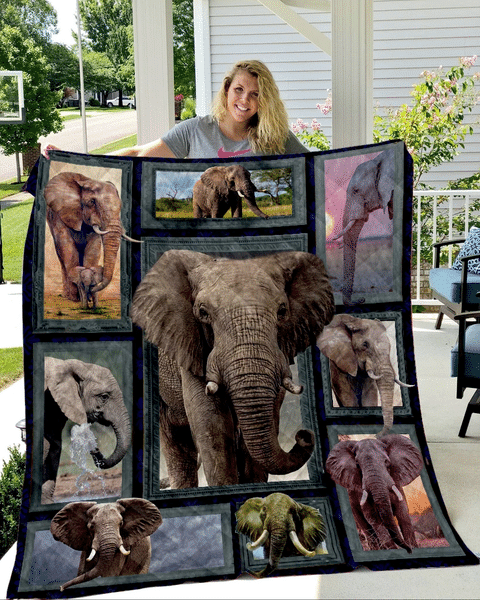 HP2311 – Elephant – Nothing’s Better – Quilt