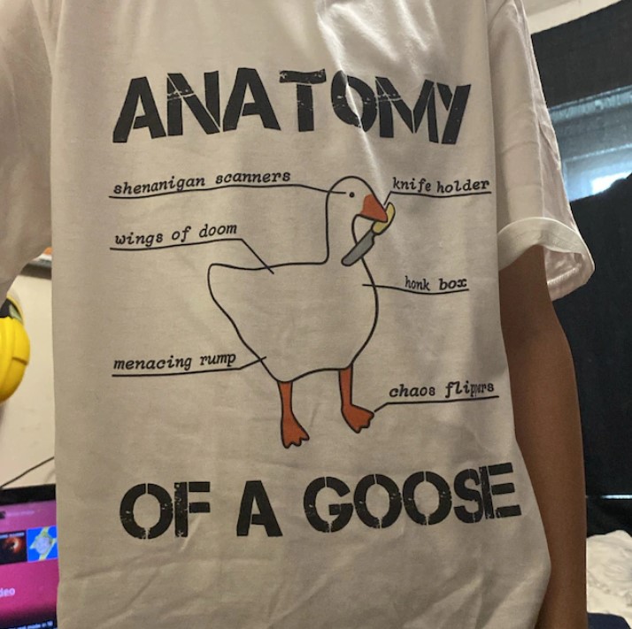 Anatomy of A Goose Funny Duck Graphic Tee Shirt Outfit