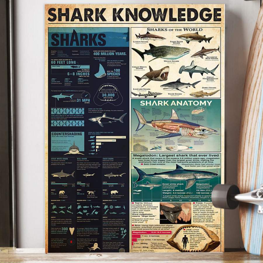 Shark Knowledge Custom Design Gift For People Who Care About Shark Poster