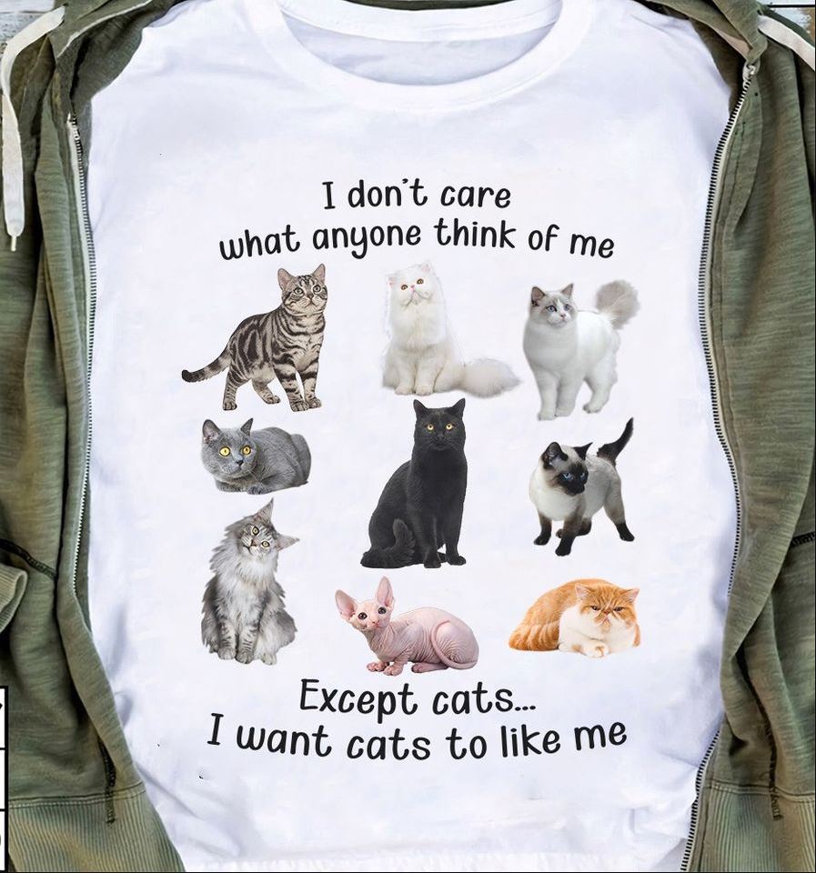 I Don’t Care What Anyone Think Of Me Except Cats I Want Cats To Like Me Gift Standard/Premium T-Shirt