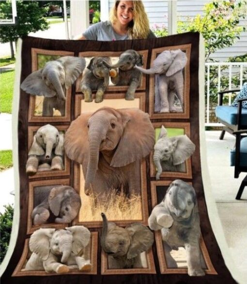 3D Elephant Happy In Photo Frames Soft Cozy Lightweight Premium Blanket