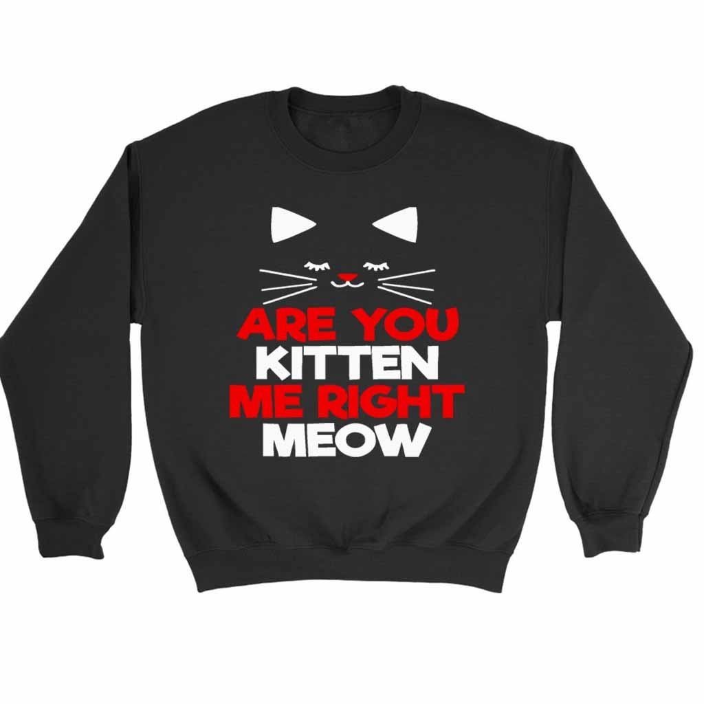 Are You Kitten Me Right Meow Lovers Sweatshirt Sweater