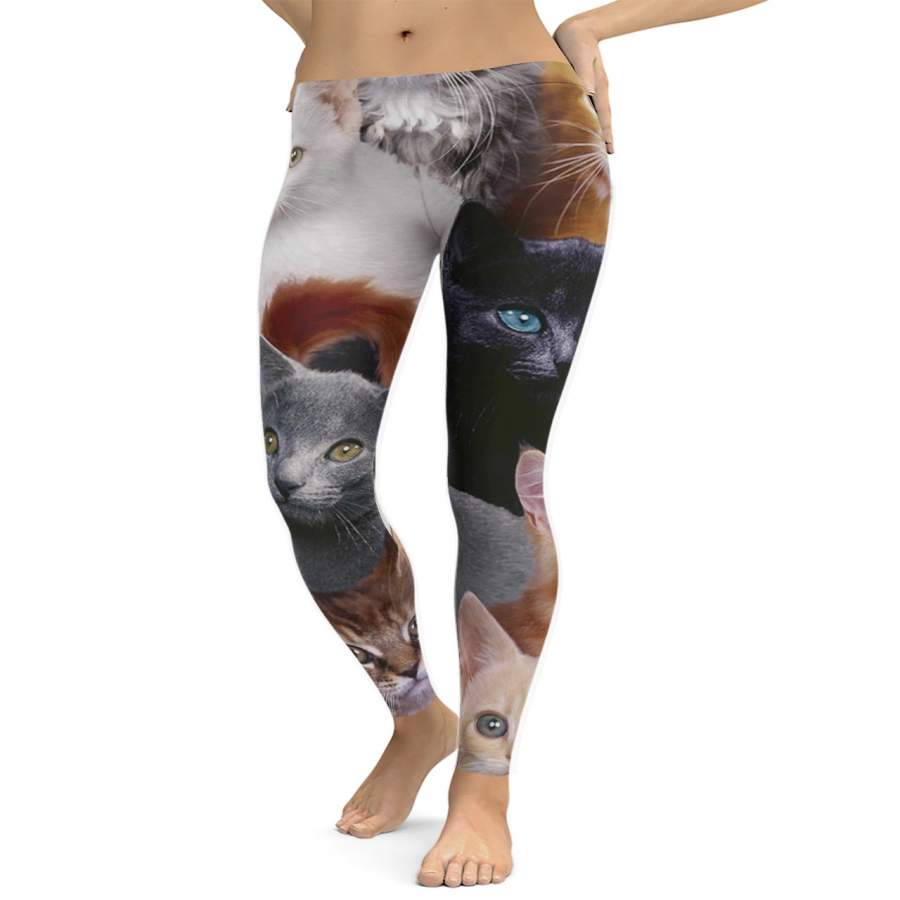 Cat Collage Leggings – Jnc-products Store