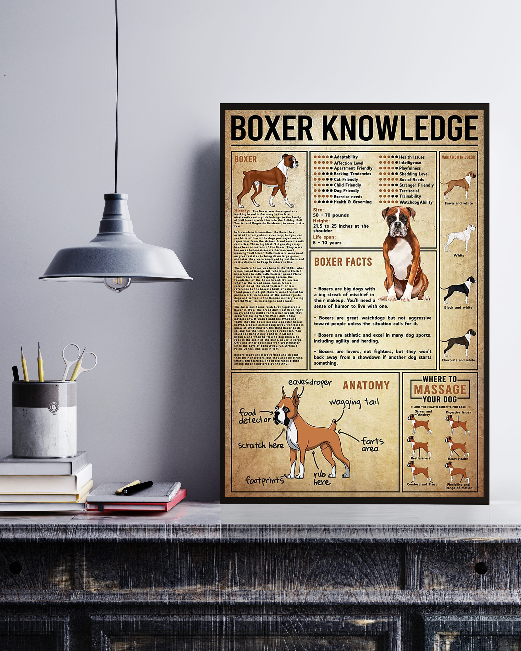 Boxer Poster Poster Portrait Knowledge Poster No Frame