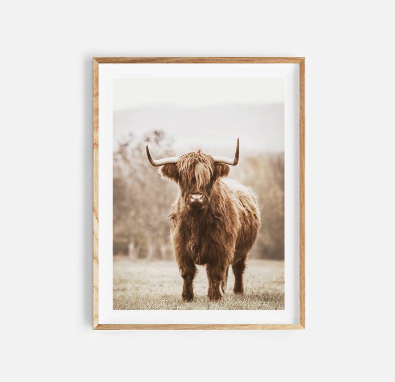 Highland Cow Print, Farm Animal Wall Art, Large Cow Poster, Highland Cow Wall Art, Farmhouse Wall Decor, Digital Download, Nature Photo