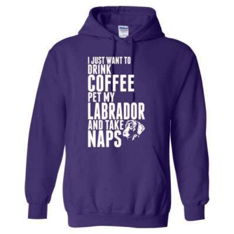 AGR Just Want To Drink Coffee Pet My Labrador Dog Take Naps – Heavy Blend™ Hooded Sweatshirt