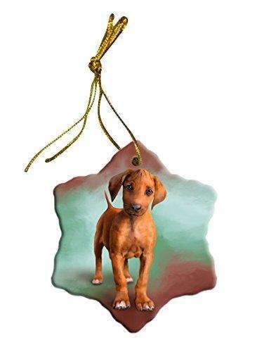 Rhodesian Ridgeback Puppy Star Porcelain Ornament Spor48065